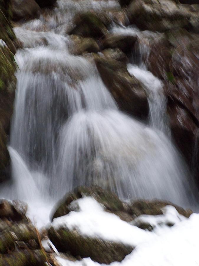 B&B Ai Pini Tiarno di Sopra Екстер'єр фото